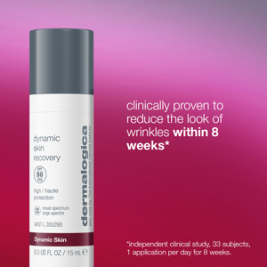 Dermalogica Protect and Renew Set